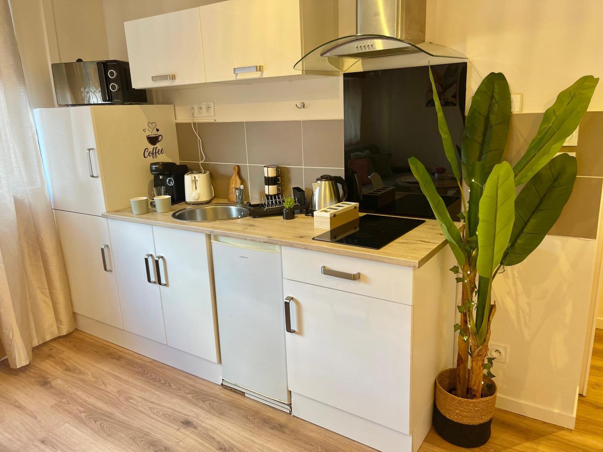 Appartement Studio, Coeur De La *